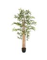 Planta Bambu 180 Cm