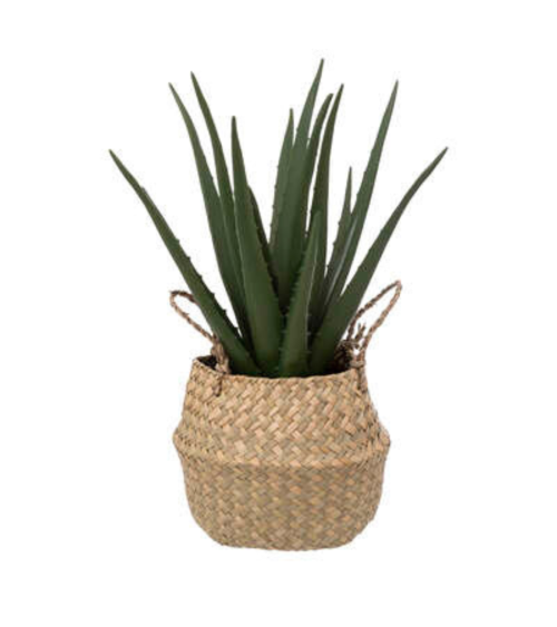 Planta Decorativa Aloe Vera de 37 cm