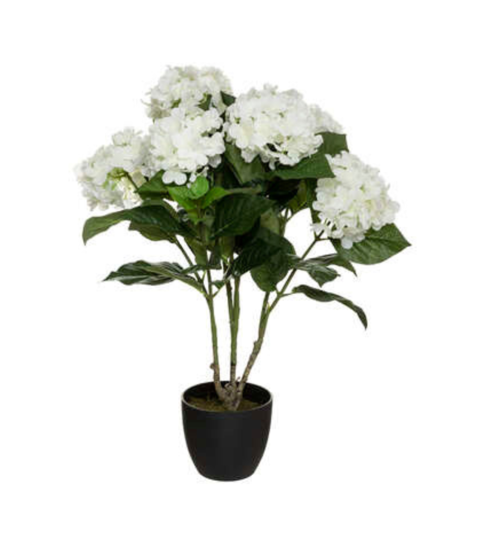 Planta Decorativa Hortensia de 60 cm Planta Decorativa Hortensia de 60 cm