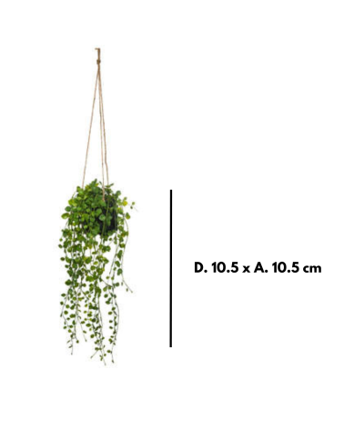 Planta Colgante Decorativa de 11 cm