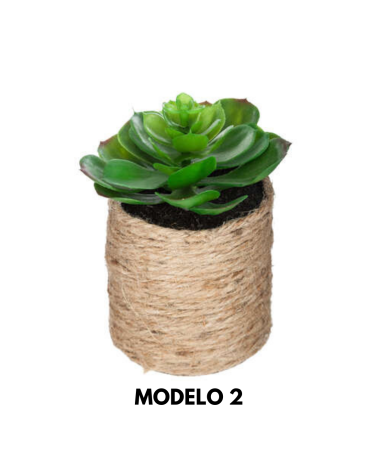 Planta Decorativa Etnik en Maceta de Cuerda de 15 cm - Varios Modelos