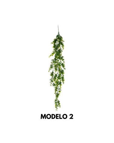Planta Colgante de 75 cm - Varios Modelos
