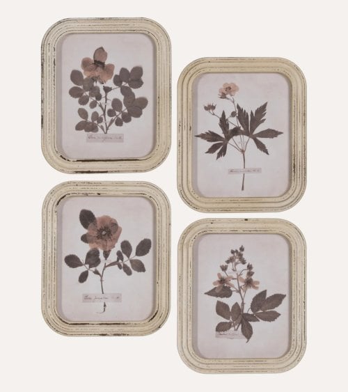 Cuadro Impresión de Flor Estilo Vintage