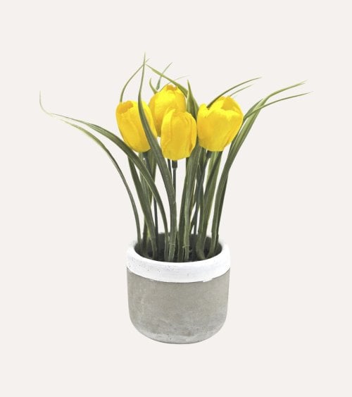 Tulipán Decorativo en...