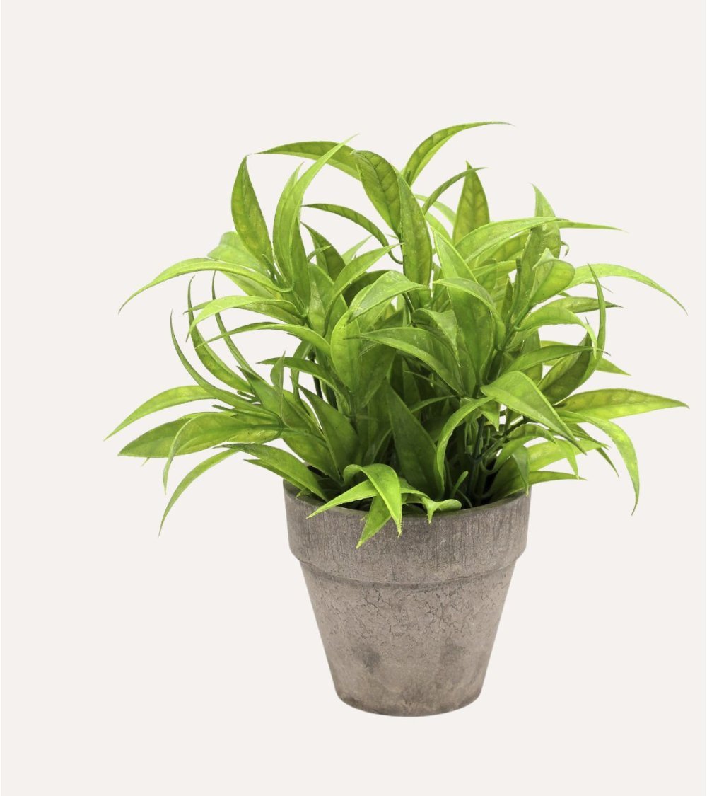 Planta Verde Decorativa en Maceta de Aspecto Realista Planta Verde Decorativa en Maceta de Aspecto Realista