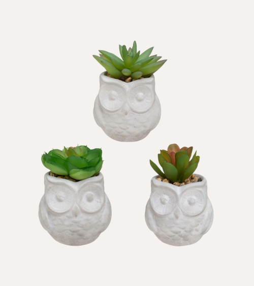 Suculenta Decorativa con Maceta Búhos de PS