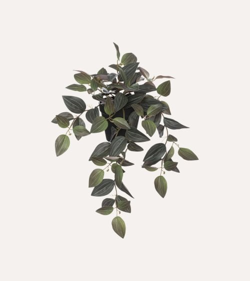 Planta Tradescantia Decorativa de PP