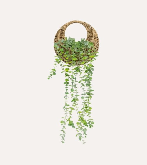 Planta Colgante Decorativa Zea de Paja