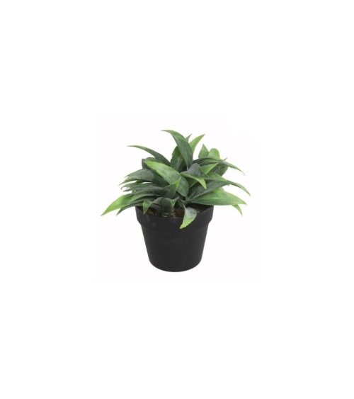 Planta Artificial con Maceta Negra Liam 8 cm-1